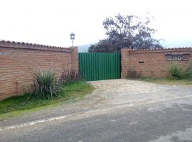 LIMACHE, LLIU LLIU, VENTA PARCELA AGRICOLA