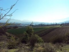 CURACAVI, MARAVILLOSO TERRENO AGRICOLA CAMINO ALHUE