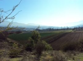 CURACAVI, VENTA TERRENO AGRICOLA CAMINO ALHUE