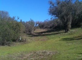 CURACAVI, VENTA PARCELAS VISTA, SECTOR EL TORO.