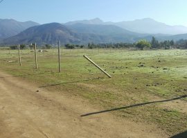 CURACAVI, VENTA TERRENO AGRICOLA SECTOR EL TORO