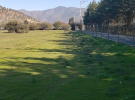 CURACAVI, VENTA PARCELA MIRAFLORES PLANAS 85