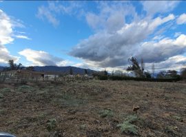 Maria pinto, venta parcela El bosque