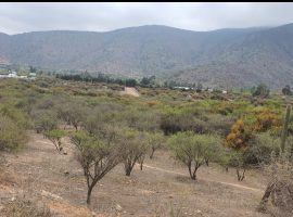 Curacavi, venta hermosa parcela bosques de miraflores