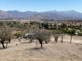 Curacaví, Venta Parcela El Pangal
