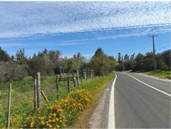 Curacavi, venta terreno plano orilla camino el toro, frente Kross