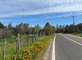 Curacavi, venta terreno plano orilla camino el toro, frente Kross