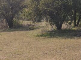 Curacavi, venta parcela Hacienda San Jose 60 LR