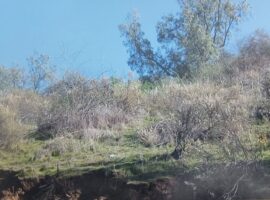 Curacaví, OPORTUNIDAD!! venta parcela Los Leones Aurora cgvLR