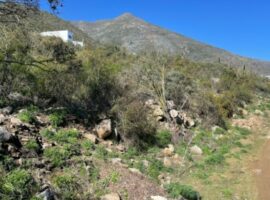 Curacaví, venta parcela aurora La Reserva 80 LR