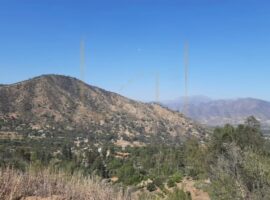 Curacavi, venta parcela Valle Los Naranjos 65 LR