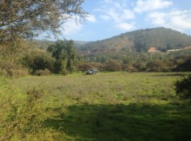 Curacaví, Venta Parcela Hacienda San Jose 6 LR