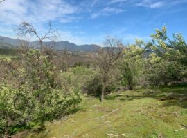 Curacaví, Venta parcela el toro vista 59 LR
