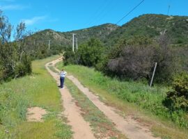 Curacavi, Venta Parcela Hacienda San Jose 519 48 LR