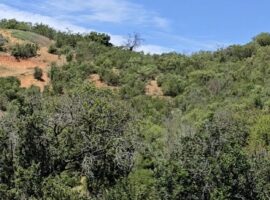 Curacaví, venta parcela Hacienda San Jose 142LR