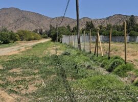 Curacavi, venta parcela Ajial Don Raimundo 92 lr